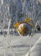 Різдво та Новий рік